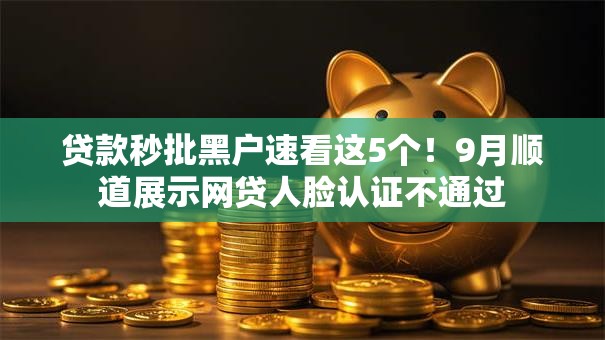 贷款秒批黑户速看这5个！9月顺道展示网贷人脸认证不通过