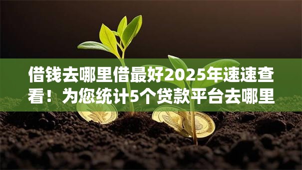 借钱去哪里借最好2025年速速查看！为您统计5个贷款平台去哪里借最好