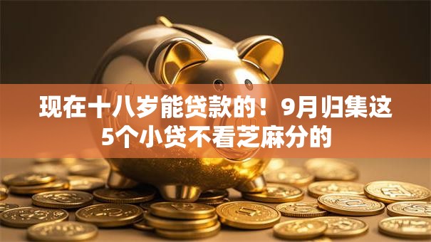 现在十八岁能贷款的!9月归集这5个小贷不看芝麻分的 现在十八岁能贷款的!9月归集这5个小贷不看芝麻分的