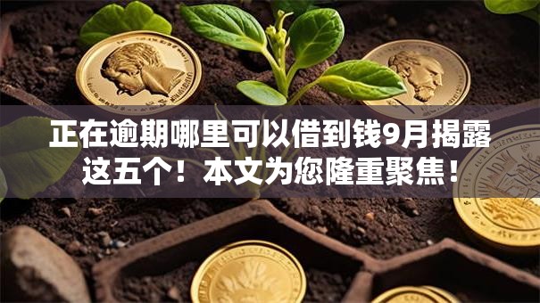 正在逾期哪里可以借到钱9月揭露这五个!本文为您隆重聚焦! 正在逾期哪里可以借到钱9月揭露这五个!本文为您隆重聚焦!