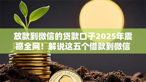 放款到微信的贷款口子2025年震撼全网!解说这五个借款到微信的网贷软件 放款到微信的贷款口子2025年震撼全网!解说这五个借款到微信的网贷软件
