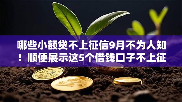 哪些小额贷不上征信9月不为人知!顺便展示这5个借钱口子不上征信的很多 哪些小额贷不上征信9月不为人知!顺便展示这5个借钱口子不上征信的很多