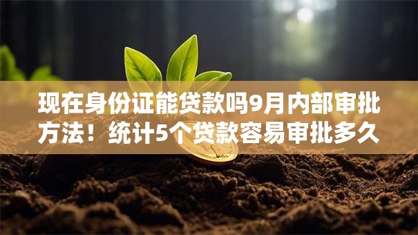 现在身份证能贷款吗9月内部审批方法!统计5个贷款容易审批多久下款 现在身份证能贷款吗9月内部审批方法!统计5个贷款容易审批多久下款