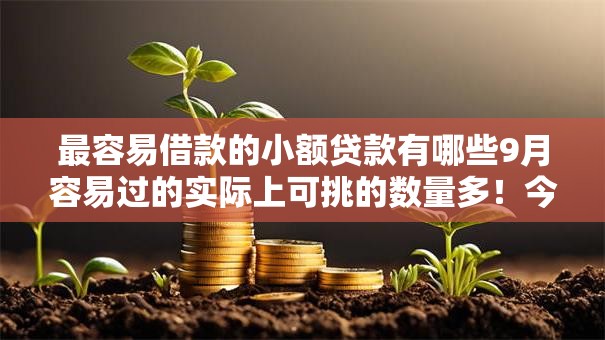 最容易借款的小额贷款有哪些9月容易过的实际上可挑的数量多!今天隆重严选这5个网贷口子! 最容易借款的小额贷款有哪些9月容易过的实际上可挑的数量多!今天隆重严选这5个网贷口子!