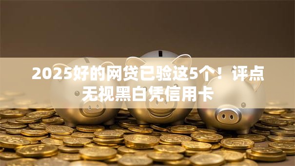 2025好的网贷已验这5个!评点无视黑白凭信用卡 2025好的网贷已验这5个!评点无视黑白凭信用卡
