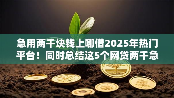 急用两千块钱上哪借2025年热门平台!同时总结这5个网贷两千急用口子借 急用两千块钱上哪借2025年热门平台!同时总结这5个网贷两千急用口子借