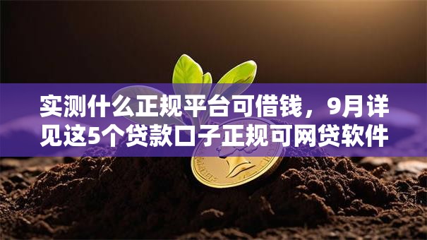 实测什么正规平台可借钱,9月详见这5个贷款口子正规可网贷软件借款 实测什么正规平台可借钱,9月详见这5个贷款口子正规可网贷软件借款