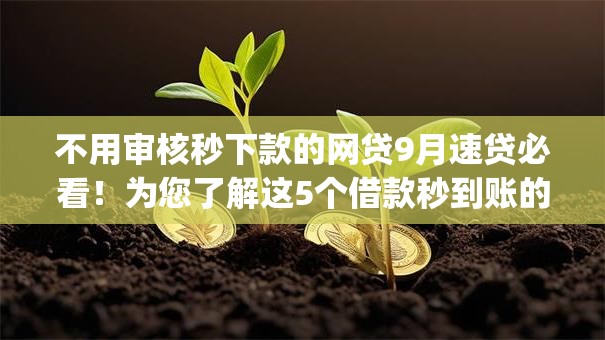 不用审核秒下款的网贷9月速贷必看!为您了解这5个借款秒到账的app 不用审核秒下款的网贷9月速贷必看!为您了解这5个借款秒到账的app