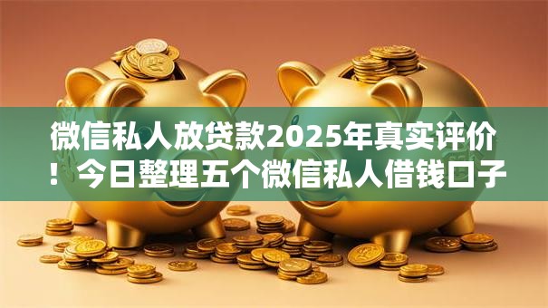 微信私人放贷款2025年真实评价！今日整理五个微信私人借钱口子