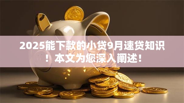 2025能下款的小贷9月速贷知识!本文为您深入阐述! 2025能下款的小贷9月速贷知识!本文为您深入阐述!