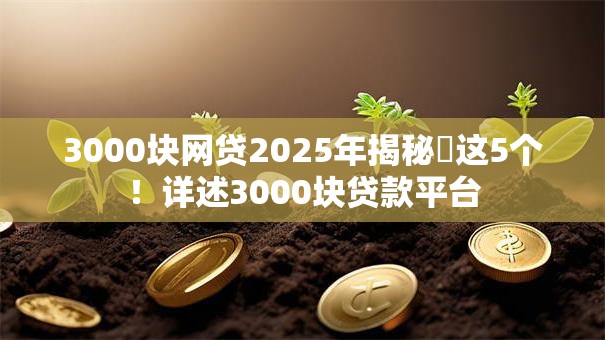 3000块网贷2025年揭秘这5个!详述3000块贷款平台 3000块网贷2025年揭秘这5个!详述3000块贷款平台