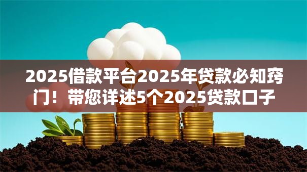 2025借款平台2025年贷款必知窍门!带您详述5个2025贷款口子 2025借款平台2025年贷款必知窍门!带您详述5个2025贷款口子