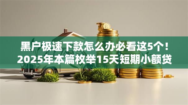 黑户极速下款怎么办必看这5个!2025年本篇枚举15天短期小额贷款 黑户极速下款怎么办必看这5个!2025年本篇枚举15天短期小额贷款