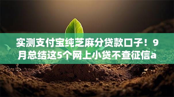 实测支付宝纯芝麻分贷款口子!9月总结这5个网上小贷不查征信app 实测支付宝纯芝麻分贷款口子!9月总结这5个网上小贷不查征信app