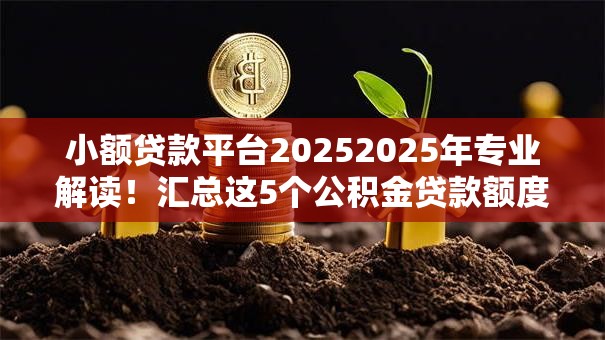 小额贷款平台20252025年专业解读!汇总这5个公积金贷款额度查询 小额贷款平台20252025年专业解读!汇总这5个公积金贷款额度查询
