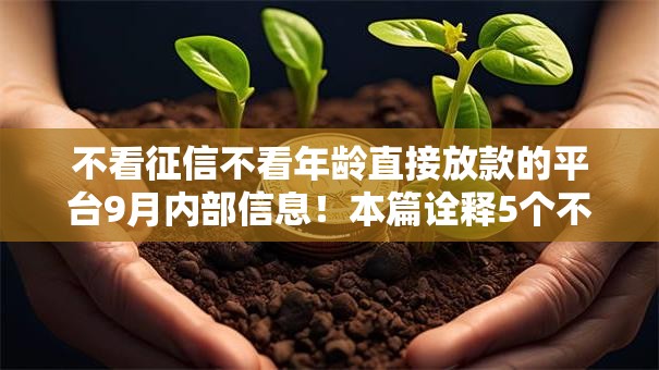 不看征信不看年龄直接放款的平台9月内部信息!本篇诠释5个不看征信年龄的网贷口子借钱 不看征信不看年龄直接放款的平台9月内部信息!本篇诠释5个不看征信年龄的网贷口子借钱
