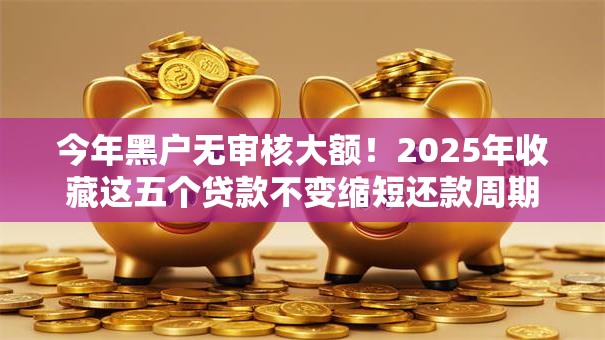 今年黑户无审核大额!2025年收藏这五个贷款不变缩短还款周期 今年黑户无审核大额!2025年收藏这五个贷款不变缩短还款周期