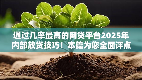 通过几率最高的网贷平台2025年内部放贷技巧!本篇为您全面评点! 通过几率最高的网贷平台2025年内部放贷技巧!本篇为您全面评点!