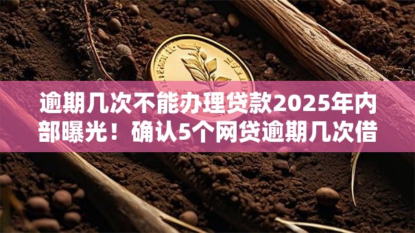 逾期几次不能办理贷款2025年内部曝光!确认5个网贷逾期几次借钱口子不批 逾期几次不能办理贷款2025年内部曝光!确认5个网贷逾期几次借钱口子不批
