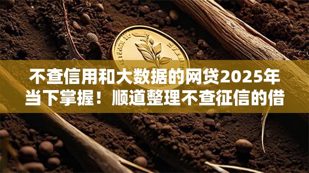 不查信用和大数据的网贷2025年当下掌握!顺道整理不查征信的借钱口子 不查信用和大数据的网贷2025年当下掌握!顺道整理不查征信的借钱口子