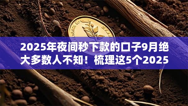 2025年夜间秒下款的口子9月绝大多数人不知！梳理这5个2025年借钱秒到账的软件