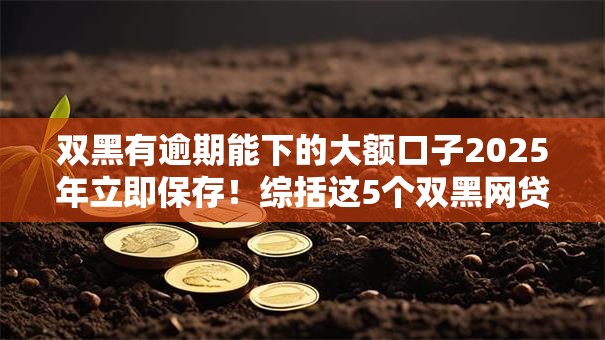 双黑有逾期能下的大额口子2025年立即保存!综括这5个双黑网贷逾期借钱软件能下贷款 双黑有逾期能下的大额口子2025年立即保存!综括这5个双黑网贷逾期借钱软件能下贷款