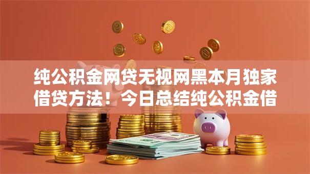 纯公积金网贷无视网黑本月独家借贷方法!今日总结纯公积金借钱无视网黑口子 纯公积金网贷无视网黑本月独家借贷方法!今日总结纯公积金借钱无视网黑口子