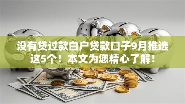 没有贷过款白户贷款口子9月推选这5个!本文为您精心了解! 没有贷过款白户贷款口子9月推选这5个!本文为您精心了解!