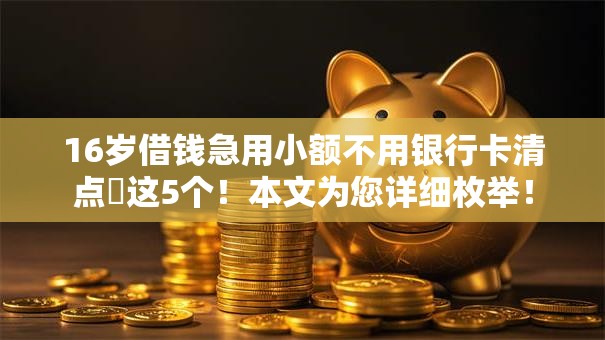 16岁借钱急用小额不用银行卡清点这5个!本文为您详细枚举! 16岁借钱急用小额不用银行卡清点这5个!本文为您详细枚举!