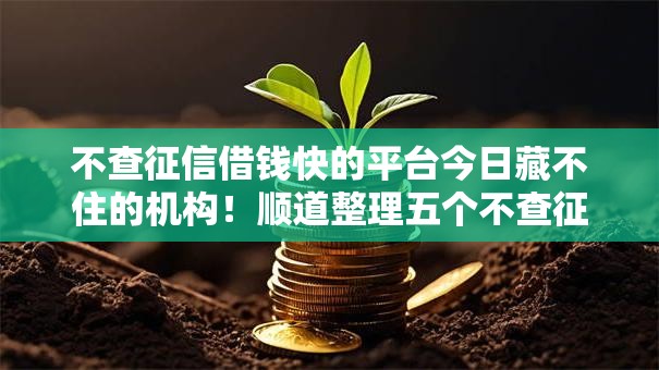 不查征信借钱快的平台今日藏不住的机构!顺道整理五个不查征信网贷快的口子 不查征信借钱快的平台今日藏不住的机构!顺道整理五个不查征信网贷快的口子