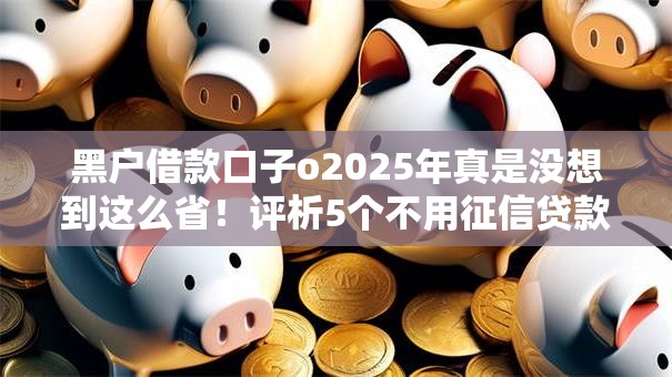 黑户借款口子o2025年真是没想到这么省!评析5个不用征信贷款的平台有几个 黑户借款口子o2025年真是没想到这么省!评析5个不用征信贷款的平台有几个