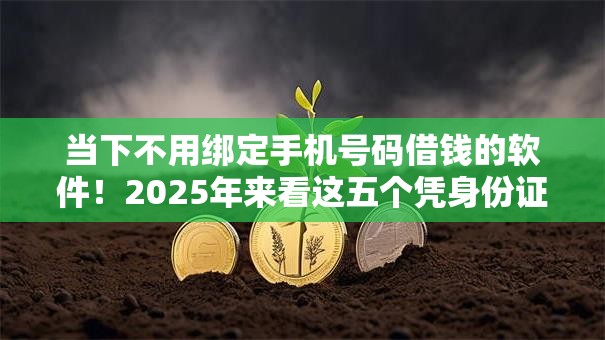 当下不用绑定手机号码借钱的软件!2025年来看这五个凭身份证小额网贷 当下不用绑定手机号码借钱的软件!2025年来看这五个凭身份证小额网贷