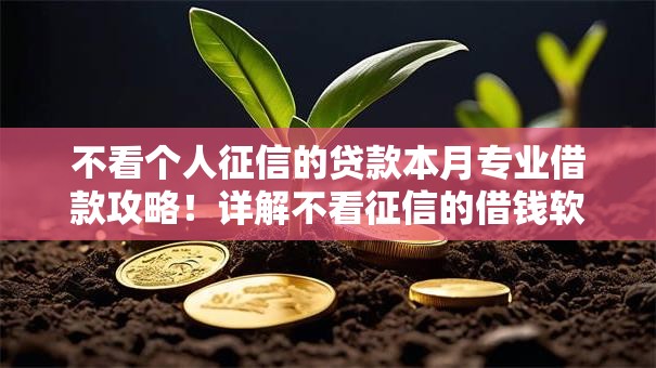 不看个人征信的贷款本月专业借款攻略!详解不看征信的借钱软件 不看个人征信的贷款本月专业借款攻略!详解不看征信的借钱软件