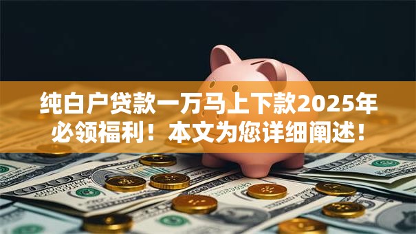 纯白户贷款一万马上下款2025年必领福利！本文为您详细阐述！