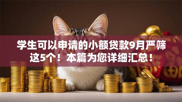 学生可以申请的小额贷款9月严筛这5个！本篇为您详细汇总！