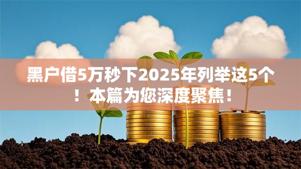黑户借5万秒下2025年列举这5个！本篇为您深度聚焦！
