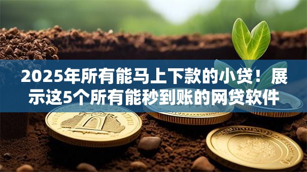 2025年所有能马上下款的小贷!展示这5个所有能秒到账的网贷软件 2025年所有能马上下款的小贷!展示这5个所有能秒到账的网贷软件