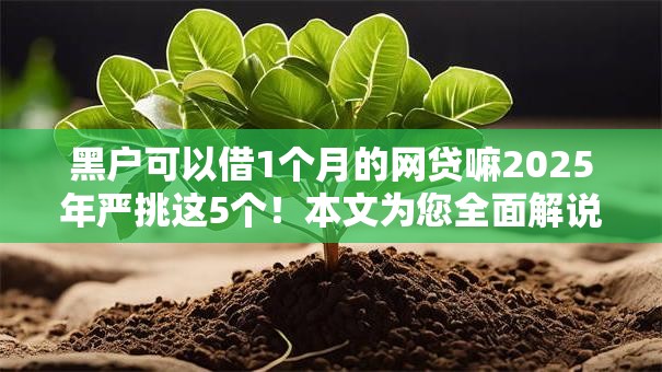 黑户可以借1个月的网贷嘛2025年严挑这5个!本文为您全面解说! 黑户可以借1个月的网贷嘛2025年严挑这5个!本文为您全面解说!