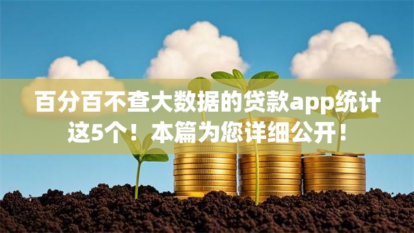 百分百不查大数据的贷款app统计这5个!本篇为您详细公开! 百分百不查大数据的贷款app统计这5个!本篇为您详细公开!