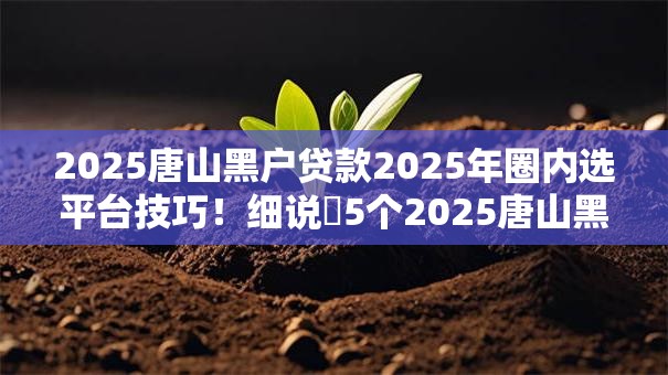 2025唐山黑户贷款2025年圈内选平台技巧!细说5个2025唐山黑户借钱软件口子 2025唐山黑户贷款2025年圈内选平台技巧!细说5个2025唐山黑户借钱软件口子