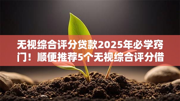 无视综合评分贷款2025年必学窍门!顺便推荐5个无视综合评分借钱软件 无视综合评分贷款2025年必学窍门!顺便推荐5个无视综合评分借钱软件