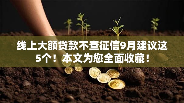 线上大额贷款不查征信9月建议这5个!本文为您全面收藏! 线上大额贷款不查征信9月建议这5个!本文为您全面收藏!