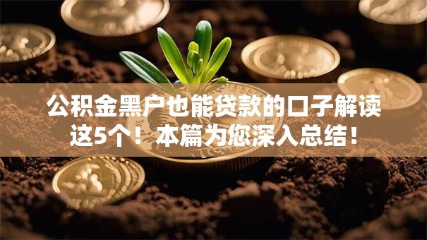 公积金黑户也能贷款的口子解读这5个！本篇为您深入总结！