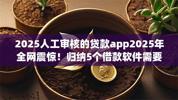 2025人工审核的贷款app2025年全网震惊!归纳5个借款软件需要人工审核2025 2025人工审核的贷款app2025年全网震惊!归纳5个借款软件需要人工审核2025
