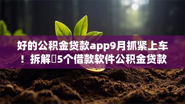 好的公积金贷款app9月抓紧上车！拆解​5个借款软件公积金贷款平台