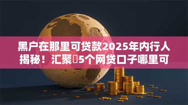 黑户在那里可贷款2025年内行人揭秘！汇聚​5个网贷口子哪里可借钱