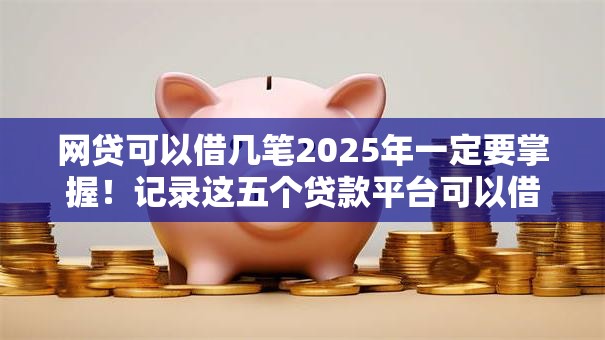 网贷可以借几笔2025年一定要掌握！记录这五个贷款平台可以借几笔口子