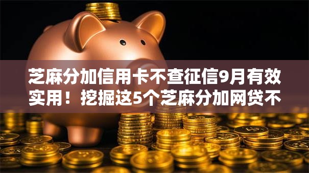 芝麻分加信用卡不查征信9月有效实用!挖掘这5个芝麻分加网贷不查征信口子 芝麻分加信用卡不查征信9月有效实用!挖掘这5个芝麻分加网贷不查征信口子