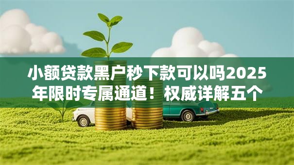 小额贷款黑户秒下款可以吗2025年限时专属通道!权威详解五个网贷黑户秒下借钱口子可以 小额贷款黑户秒下款可以吗2025年限时专属通道!权威详解五个网贷黑户秒下借钱口子可以