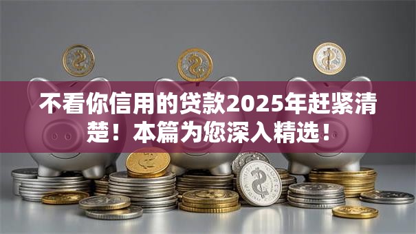 不看你信用的贷款2025年赶紧清楚!本篇为您深入精选! 不看你信用的贷款2025年赶紧清楚!本篇为您深入精选!